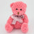 Branded Promotional 15CM SASH BLOSSOM WAFFLE BEAR Soft Toy From Concept Incentives.