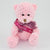 Branded Promotional 15CM SASH CANDY FLOSS WAFFLE BEAR Soft Toy From Concept Incentives.