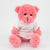 Branded Promotional 15CM TEE SHIRT BLOSSOM WAFFLE BEAR Soft Toy From Concept Incentives.