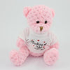 Branded Promotional 15CM TEE SHIRT CANDY FLOSS WAFFLE BEAR Soft Toy From Concept Incentives.