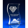 Branded Promotional CRYSTAL GLASS WAVE AWARD OR TROPHY AWARD Award From Concept Incentives.