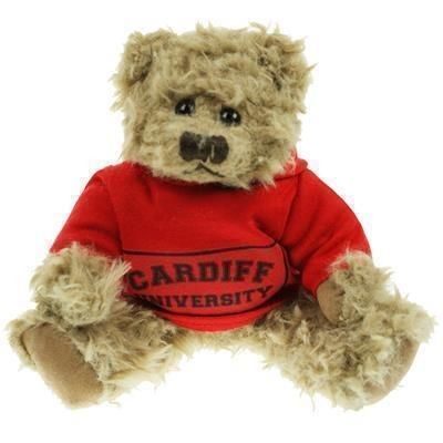 Branded Promotional 20CM WINDSOR BEAR with Hoody Soft Toy From Concept Incentives.