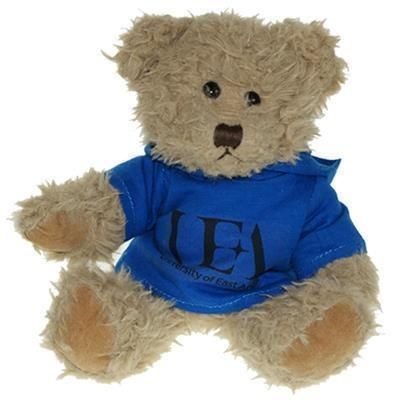 Branded Promotional 25CM WINDSOR BEAR with Hoody Soft Toy From Concept Incentives.