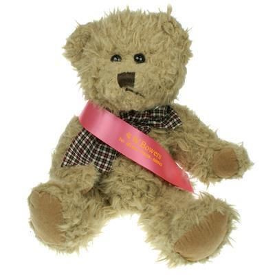 Branded Promotional 25CM WINDSOR BEAR with Sash Soft Toy From Concept Incentives.