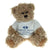 Branded Promotional 20CM WINDSOR BEAR with Tee Shirt Soft Toy From Concept Incentives.