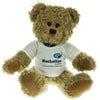 Branded Promotional 35CM WINDSOR BEAR with Tee Shirt Soft Toy From Concept Incentives.