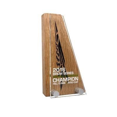 Branded Promotional REAL WOOD BLOCK AWARD with Acrylic Front Award From Concept Incentives.